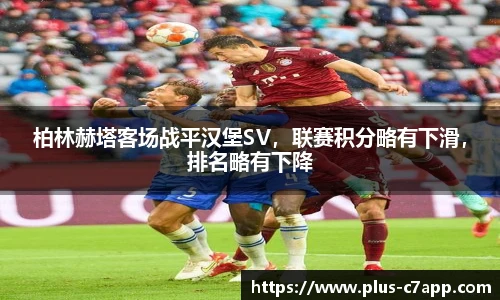 c7娱乐官网