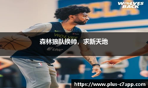 森林狼队换帅，求新天地