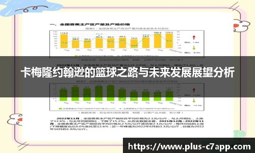 卡梅隆约翰逊的篮球之路与未来发展展望分析