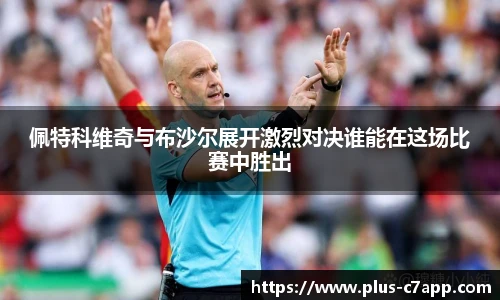 c7娱乐官方网站