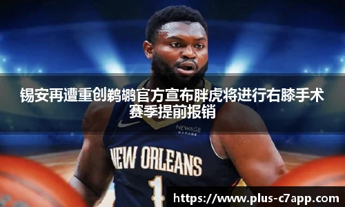 c7娱乐公司